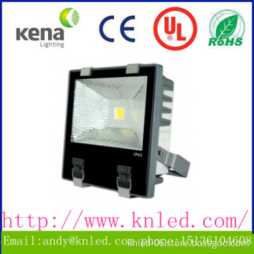 IP65 100w 120w Meanwell driver led flood light